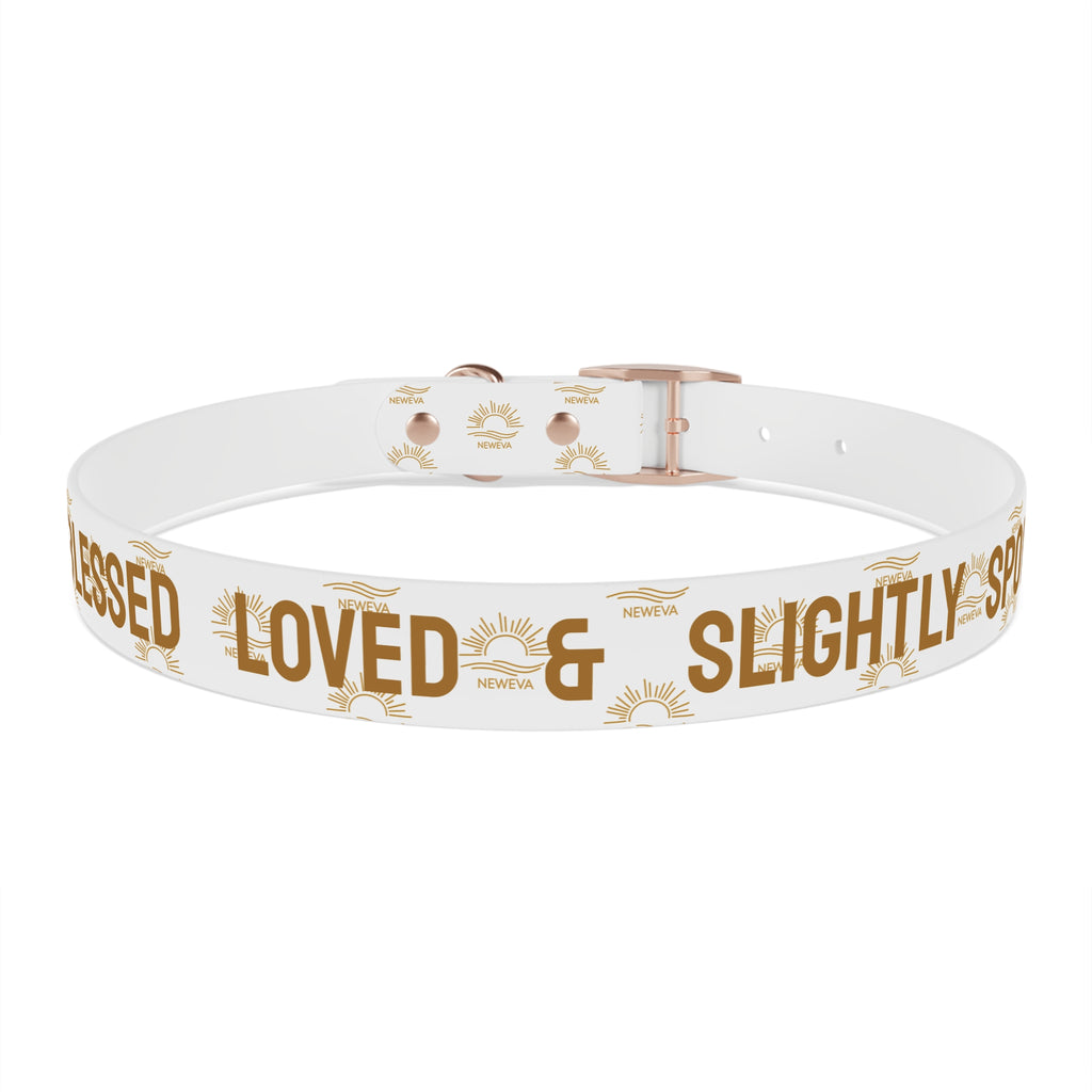 Blessed, Loved, & Slightly Spoiled Collar