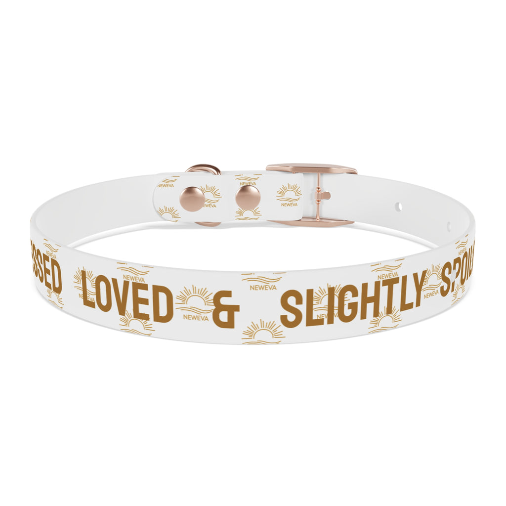 Blessed, Loved, & Slightly Spoiled Collar