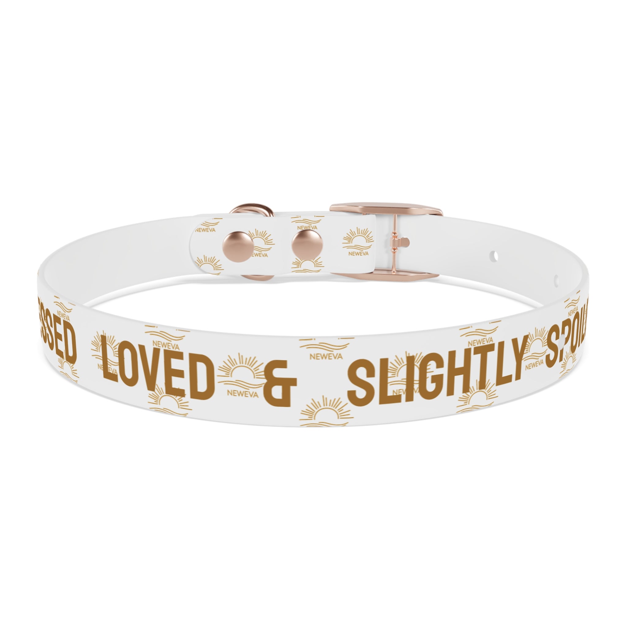 Blessed, Loved, & Slightly Spoiled Collar