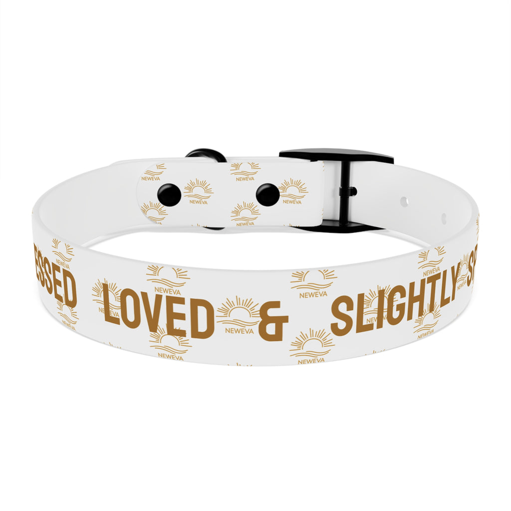 Blessed, Loved, & Slightly Spoiled Collar