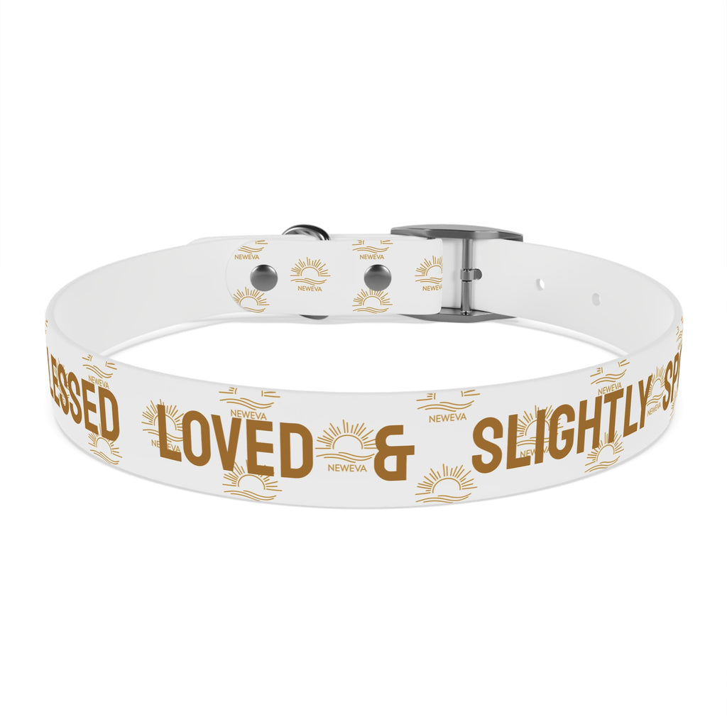 Blessed, Loved, & Slightly Spoiled Collar