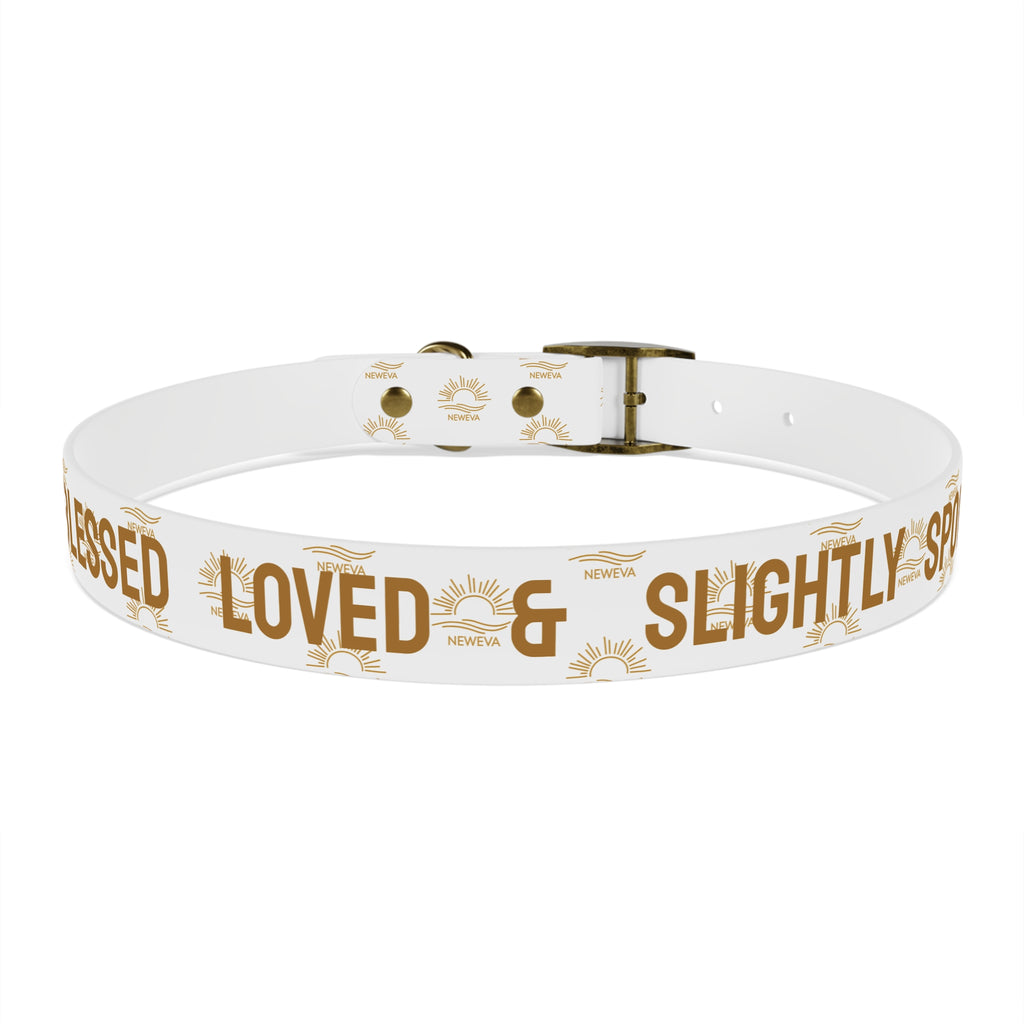 Blessed, Loved, & Slightly Spoiled Collar