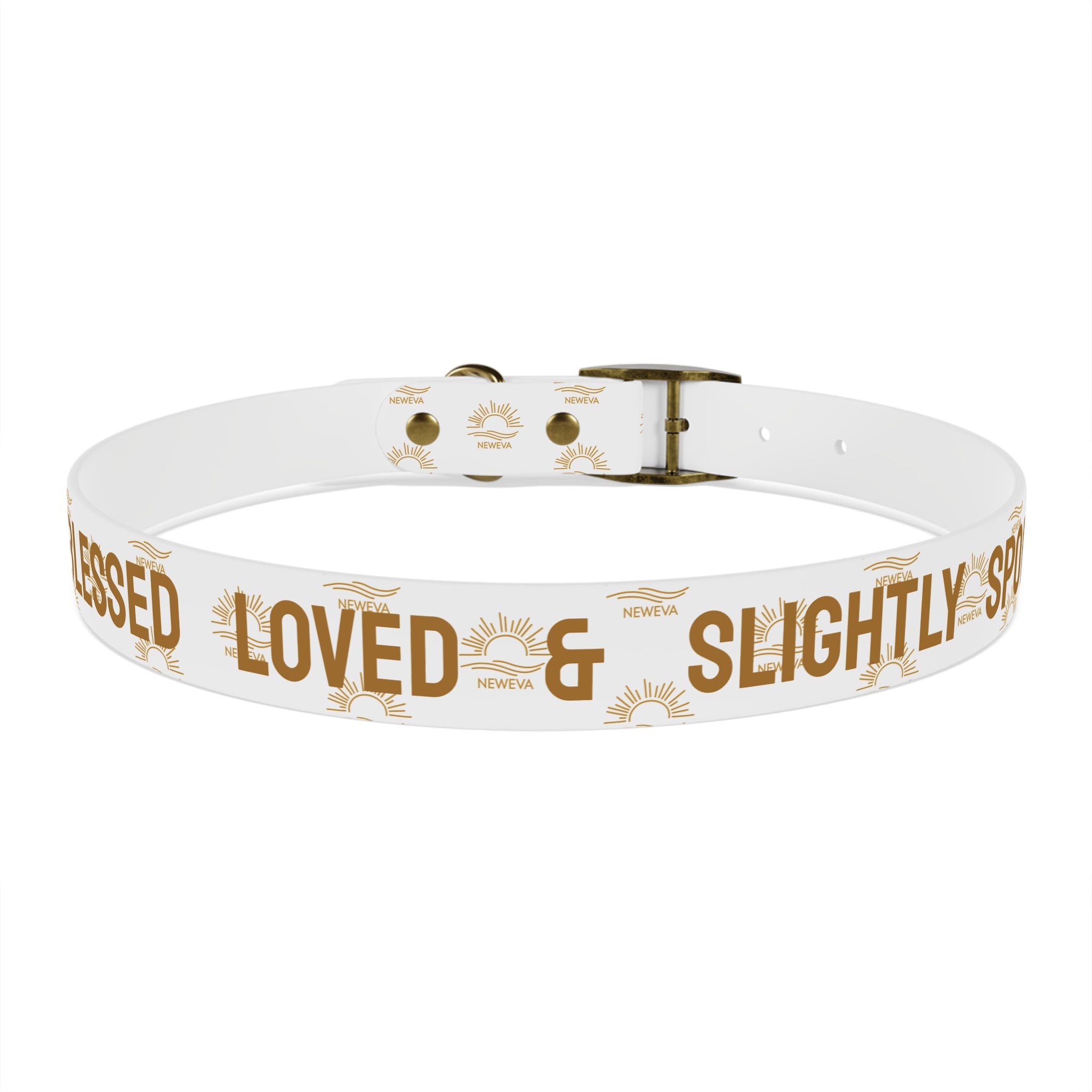Blessed, Loved, & Slightly Spoiled Collar
