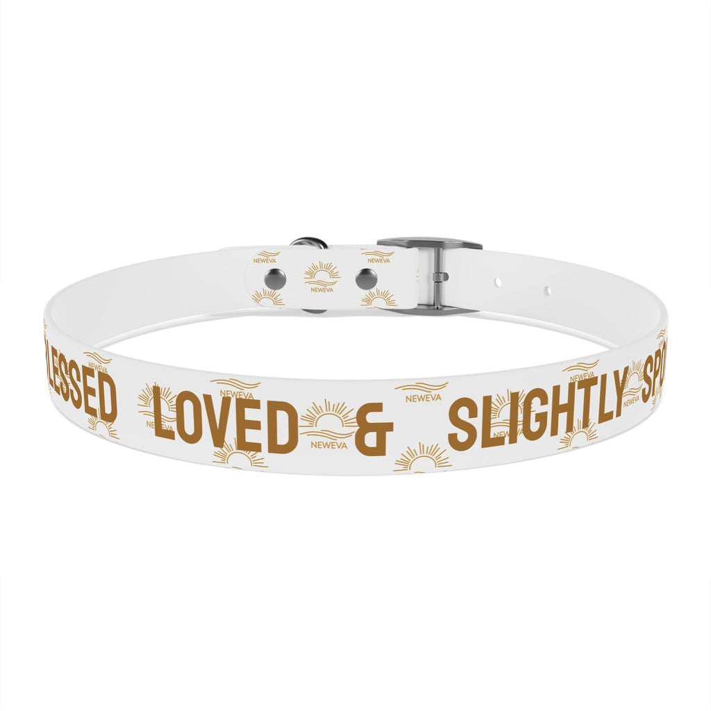 Blessed, Loved, & Slightly Spoiled Collar