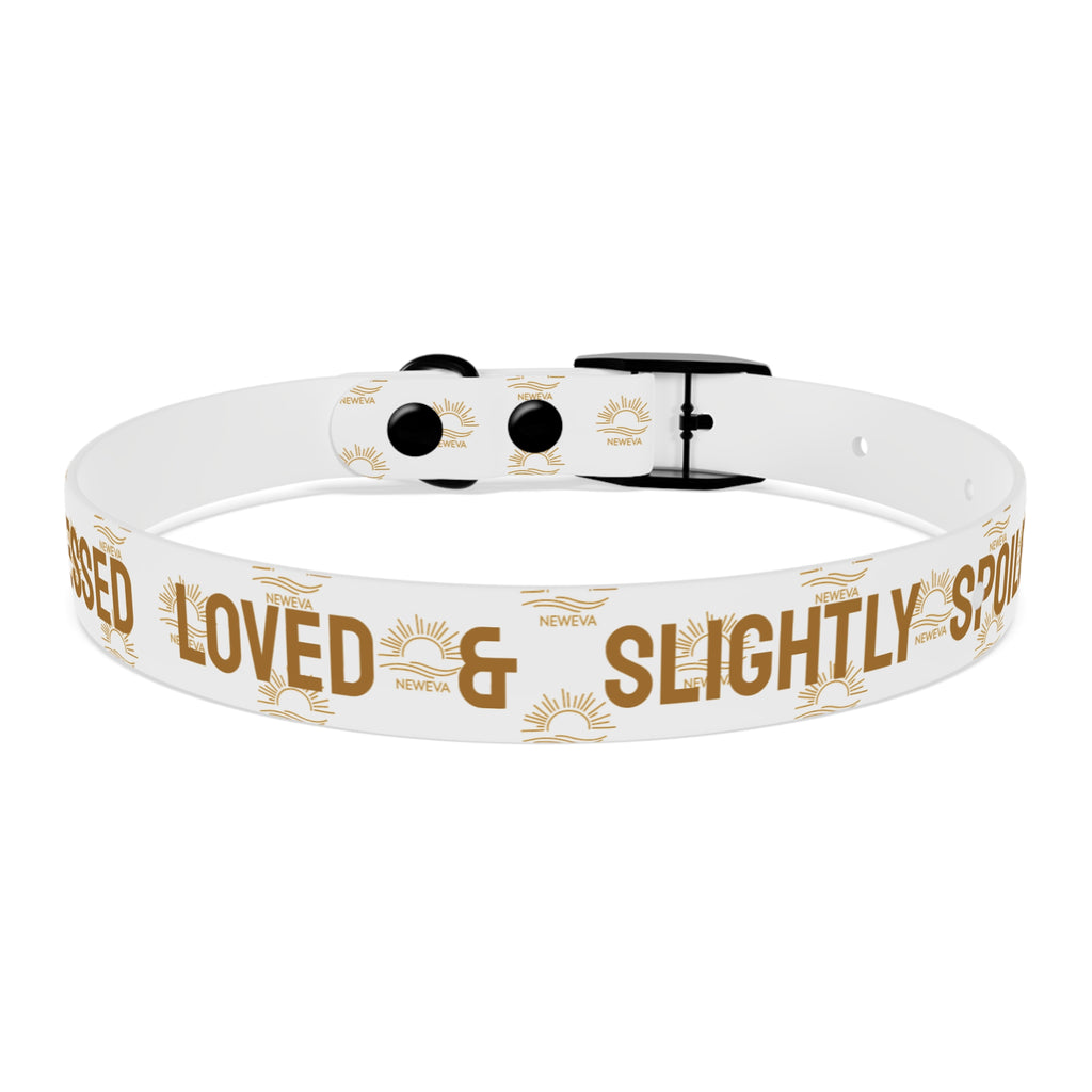 Blessed, Loved, & Slightly Spoiled Collar