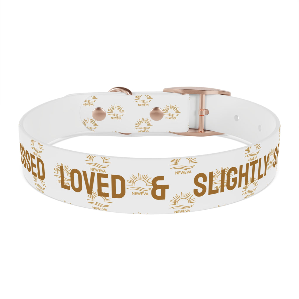 Blessed, Loved, & Slightly Spoiled Collar