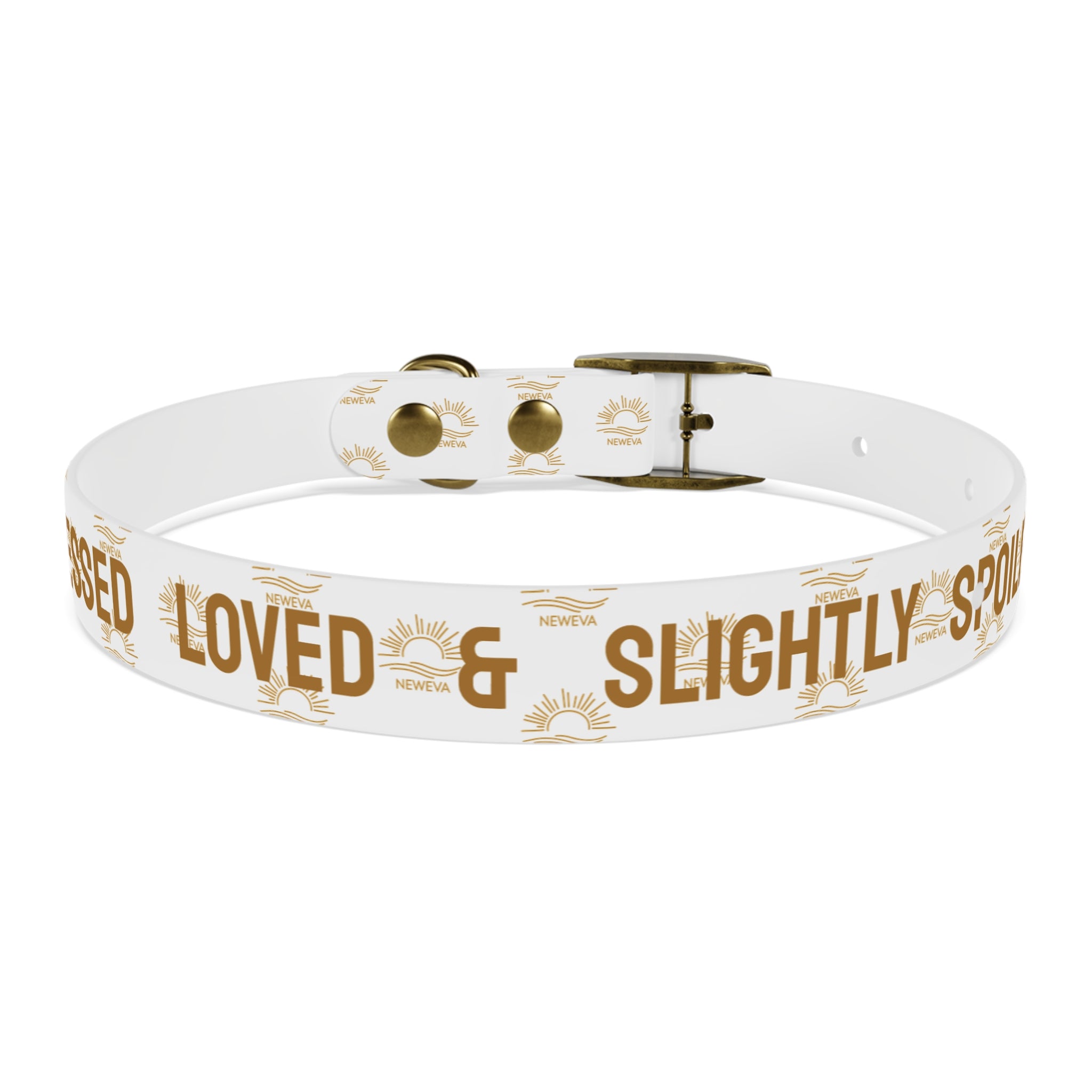 Blessed, Loved, & Slightly Spoiled Collar