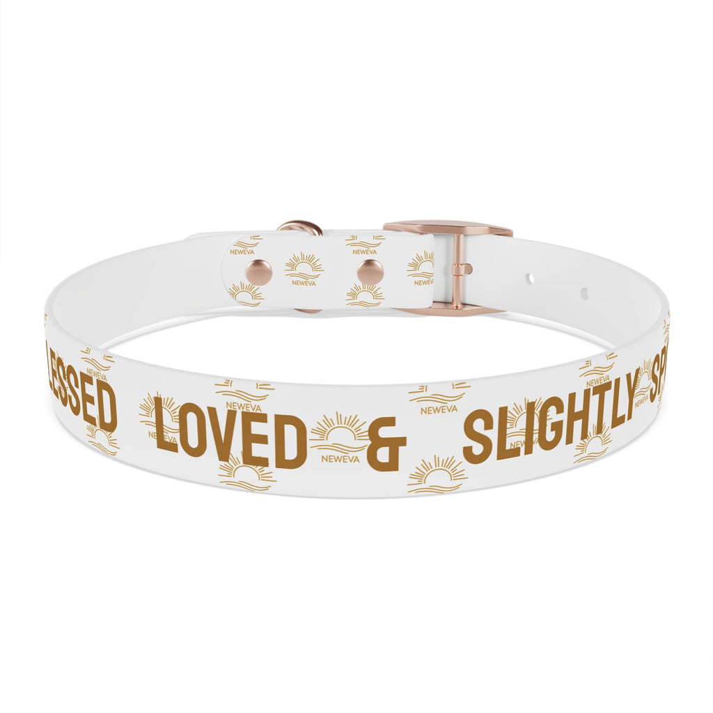 Blessed, Loved, & Slightly Spoiled Collar