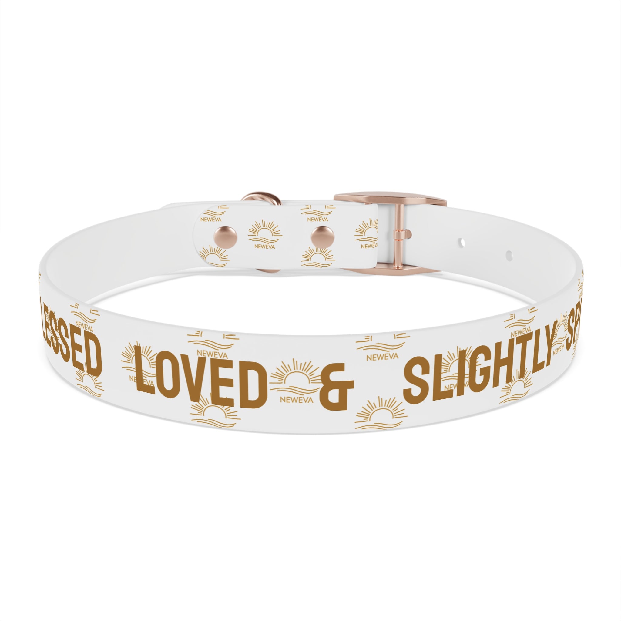 Blessed, Loved, & Slightly Spoiled Collar