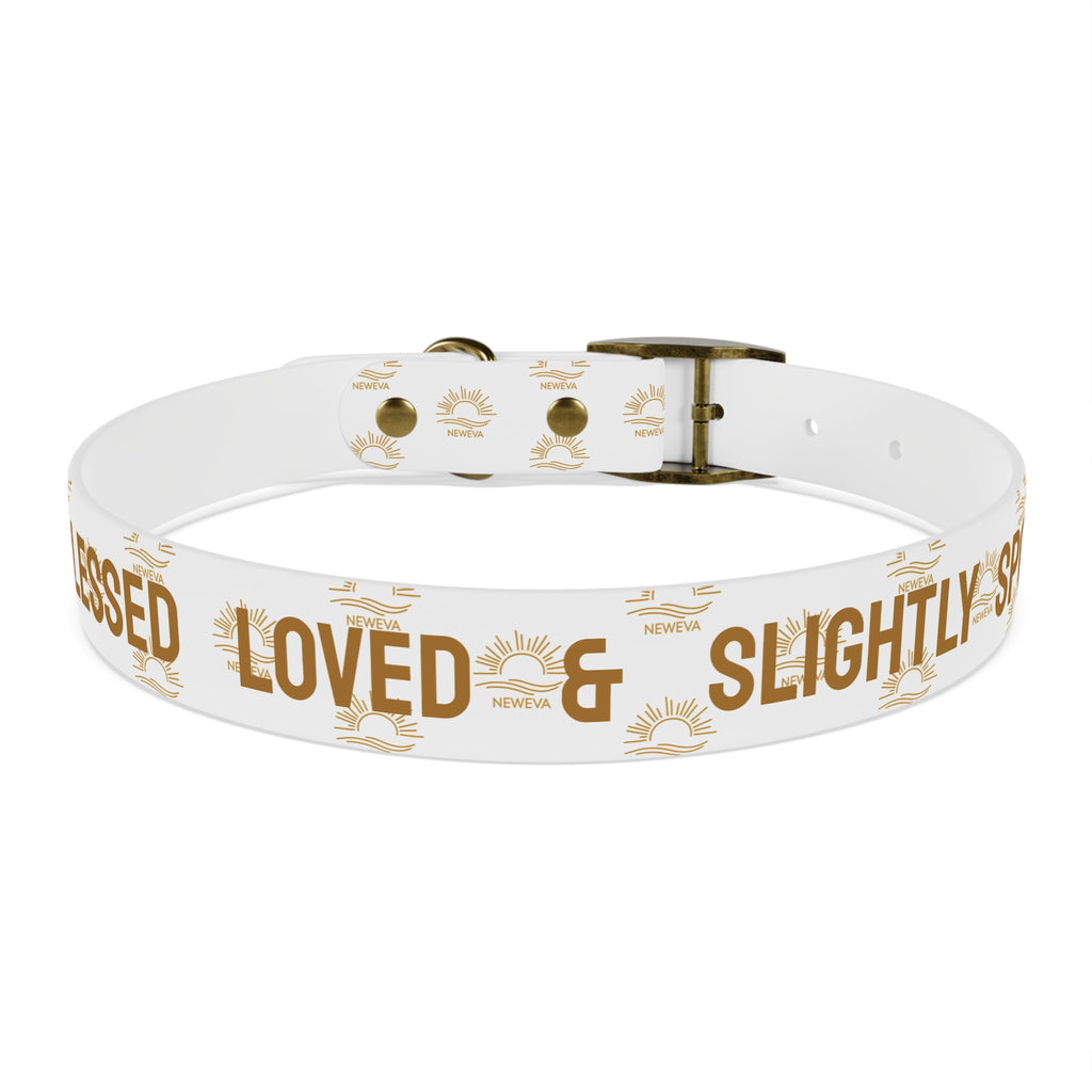 Blessed, Loved, & Slightly Spoiled Collar