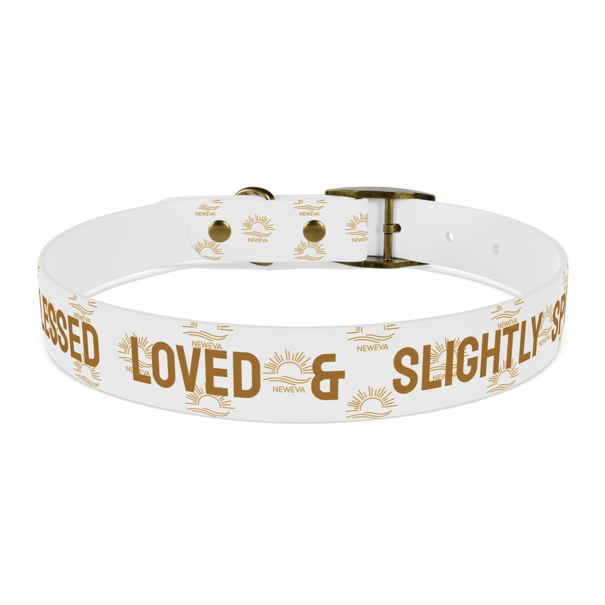 Blessed, Loved, & Slightly Spoiled Collar