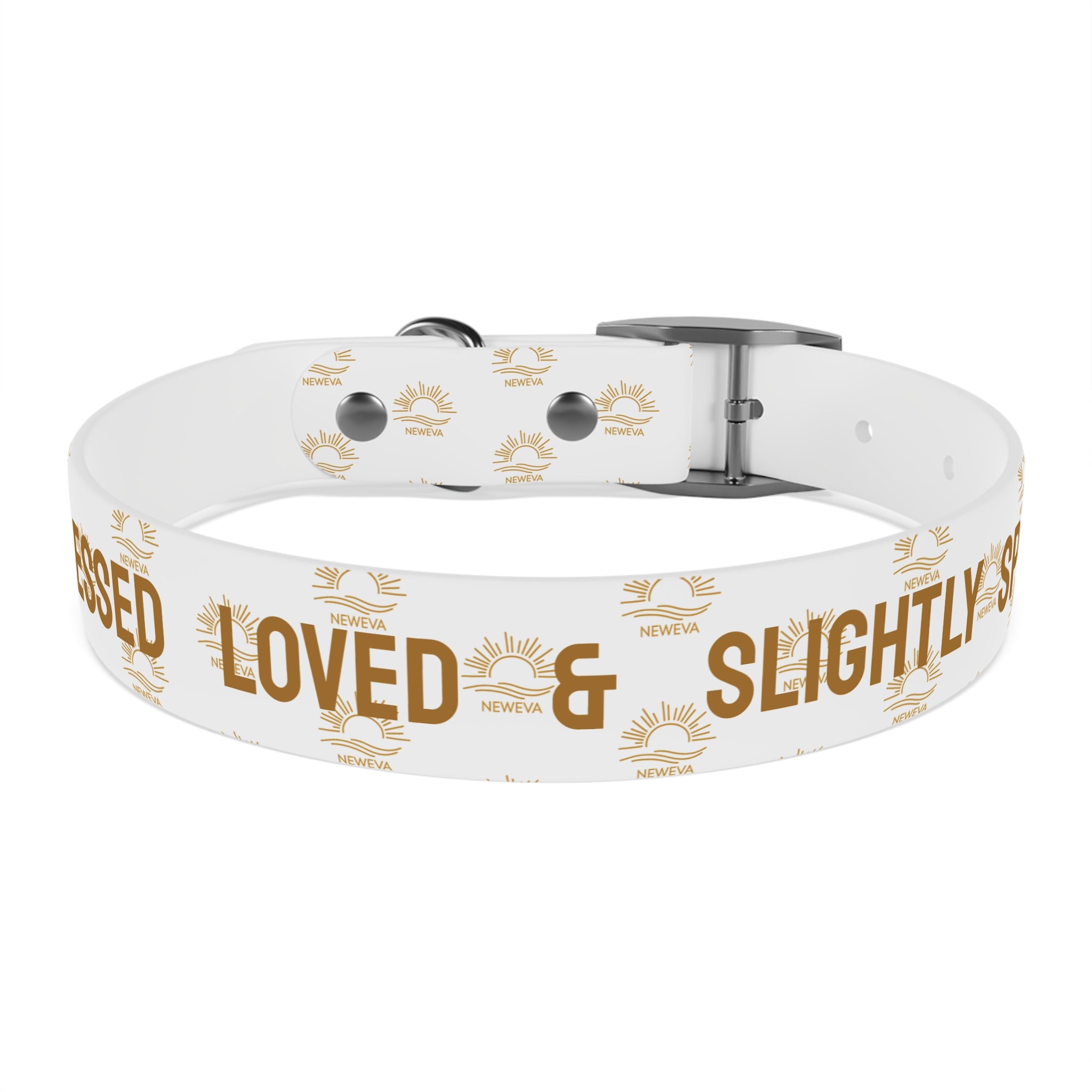Blessed, Loved, & Slightly Spoiled Collar