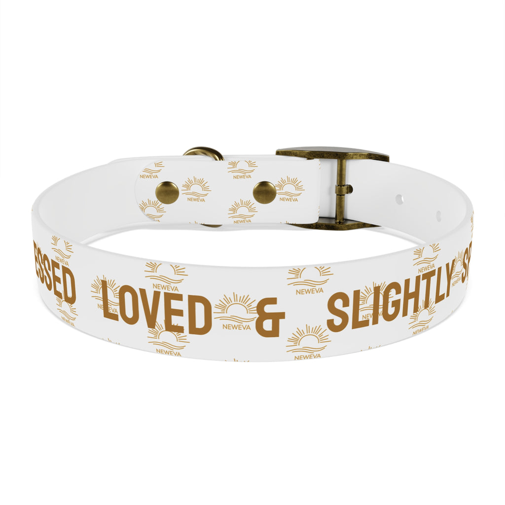 Blessed, Loved, & Slightly Spoiled Collar
