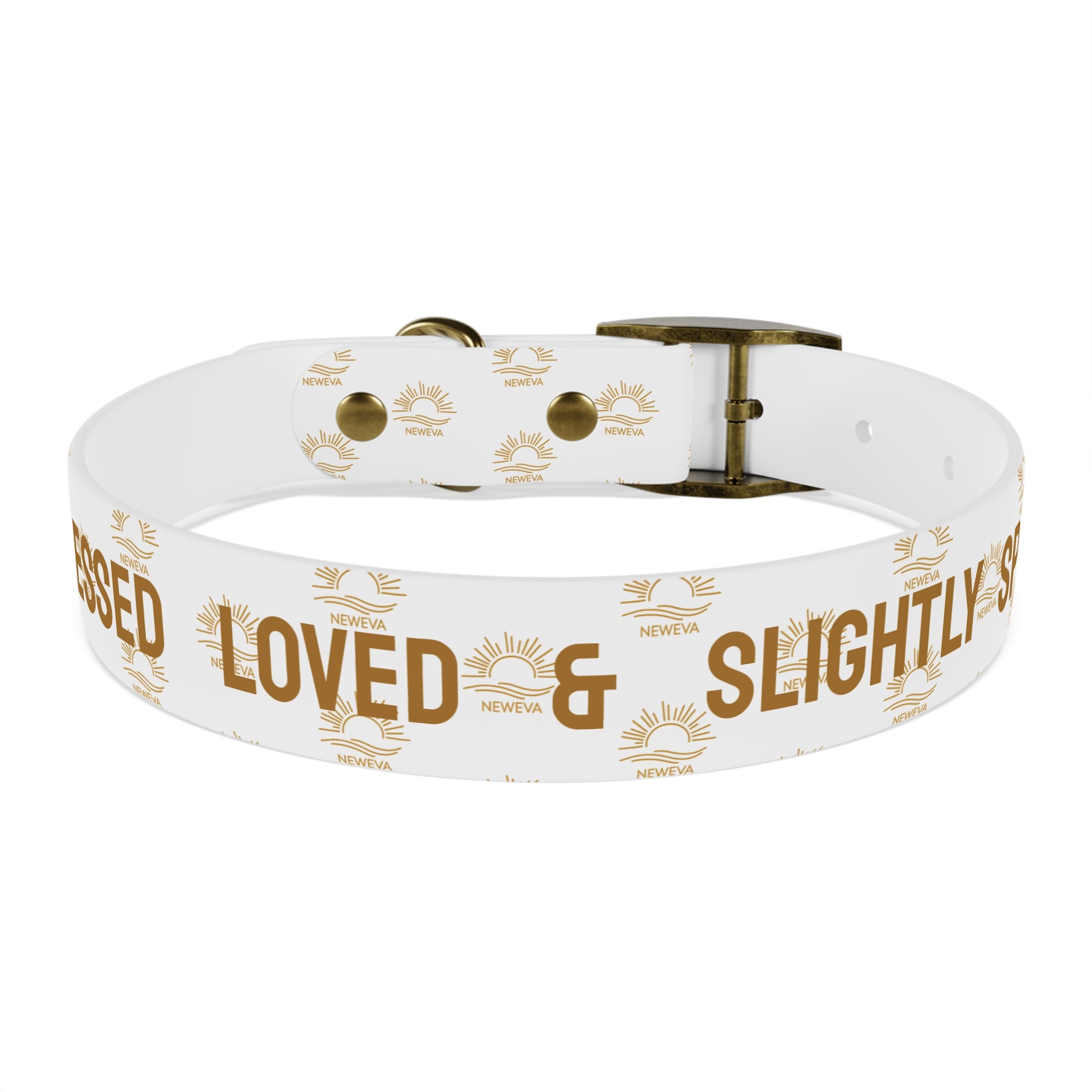 Blessed, Loved, & Slightly Spoiled Collar
